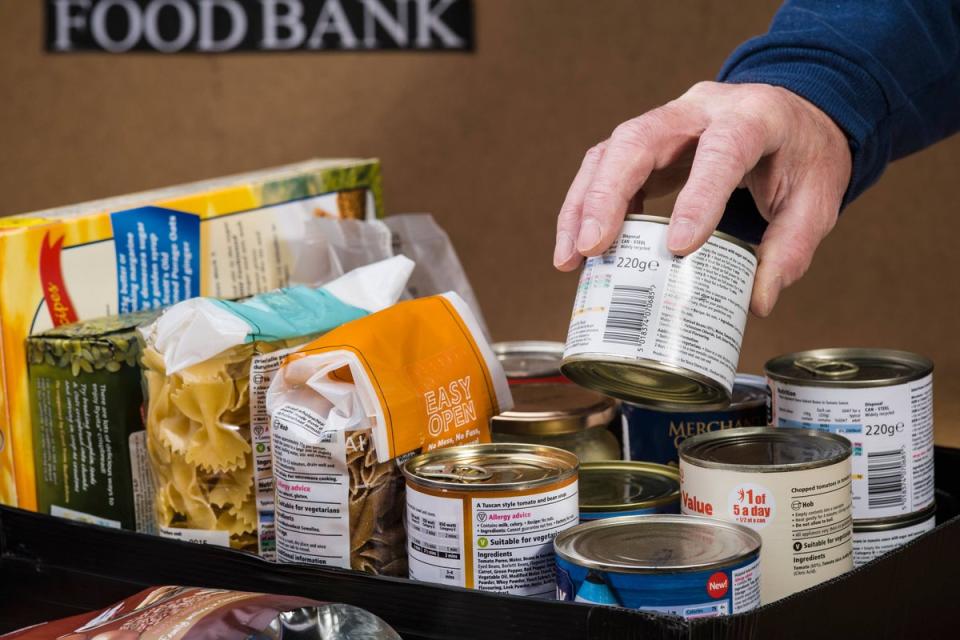 Police officers are resorting to food banks, says Met boss Sir Mark Rowley  (Trevor Chriss/Alamy/PA)