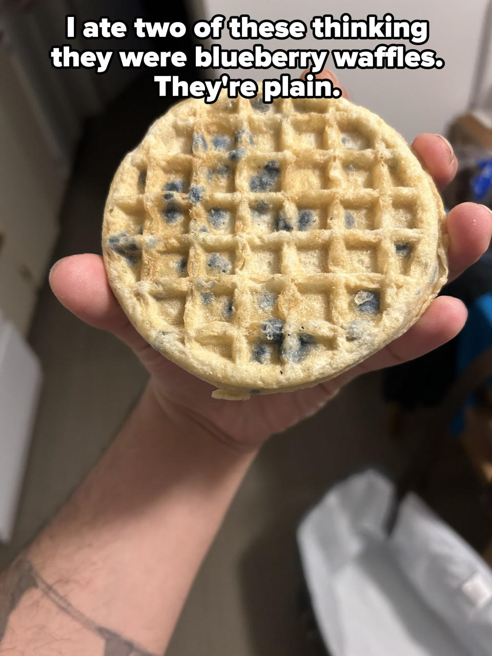 moldy Eggo