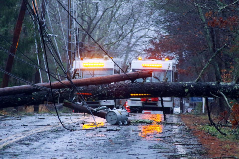 Monday's storm brought down a tree on Foundry Street in Easton, Mass., and took a telephone pole with it.