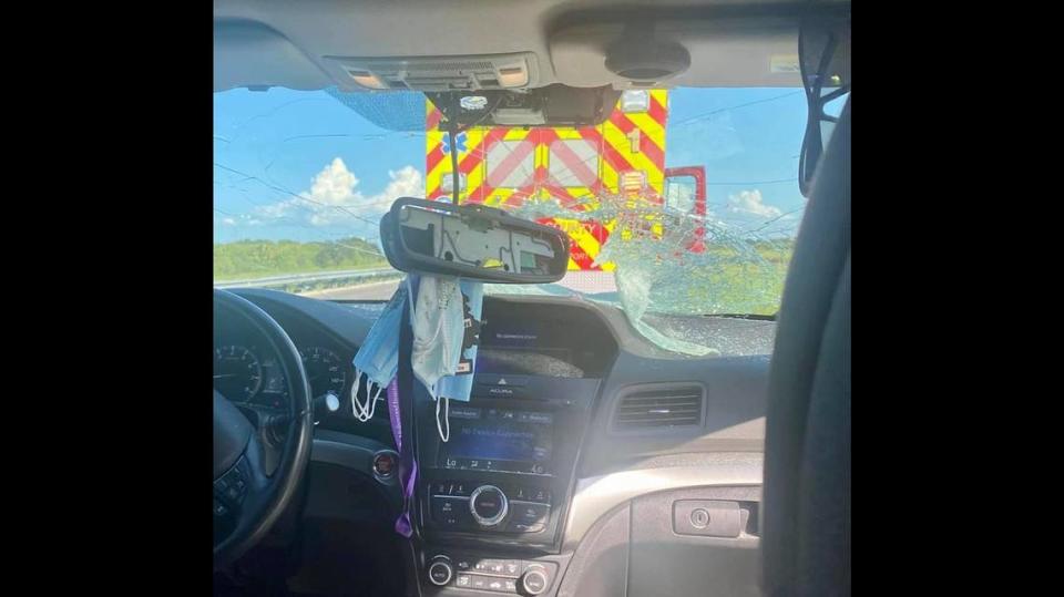 This is what the inside of a car looked like after a turtle came crashing through the windshield on Florida’s Turnpike in St. Lucie County on July 30, 2021.
