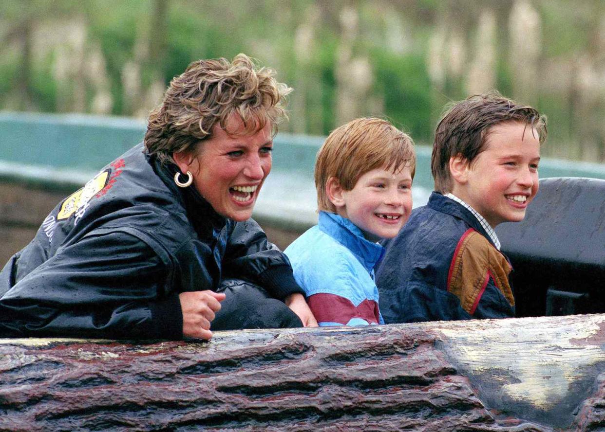 prince harry, princess diana, prince william