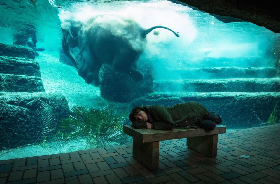 Nach einer schlaflosen Nacht findet Kommissarin Tessa Ott (Carol Schuler) im Zoo Zürich immerhin kurzzeitig zur Ruhe. (Bild: SRF/Sava Hlavacek)