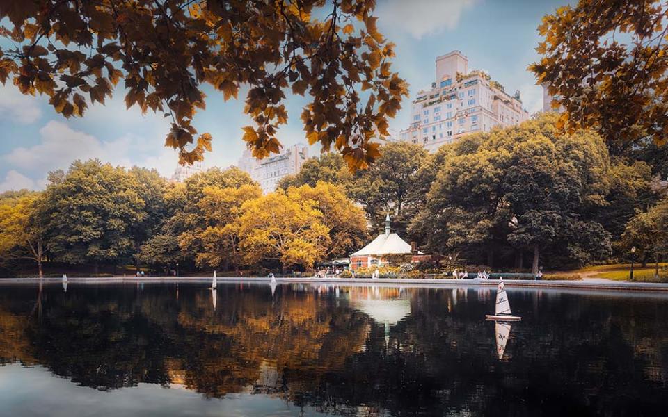 紐約中央公園（Image Source : Getty Creative）