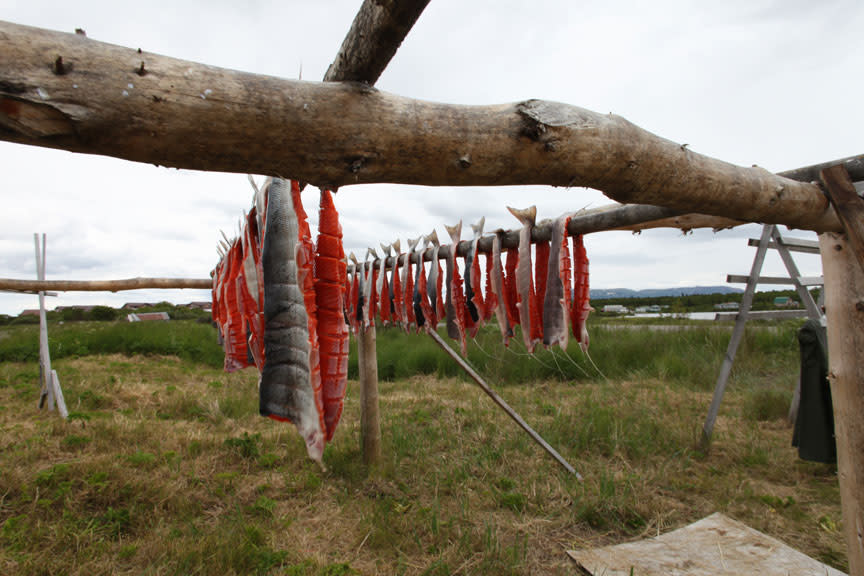 Salmon being dried on the shores of Alaska's Lake Iliamna just as they have been for centuries.