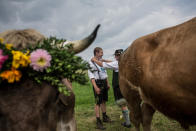 <p>Participants wearing traditional Bavarian lederhosen prepare for competing in the 2016 Muensing Oxen Race (Muensinger Ochsenrennen) on August 28, 2016 in Muensing, Germany. (Photo: Matej Divizna/Getty Images)</p>