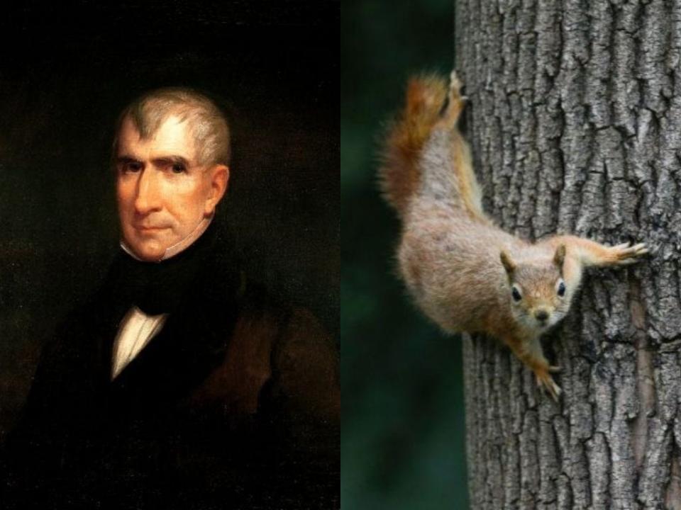 william henry harrison