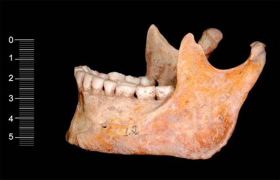 The remains of two cavemen, yielding the oldest DNA yet of modern humans, were discovered at La Brana Aritero site in Leon, Spain.