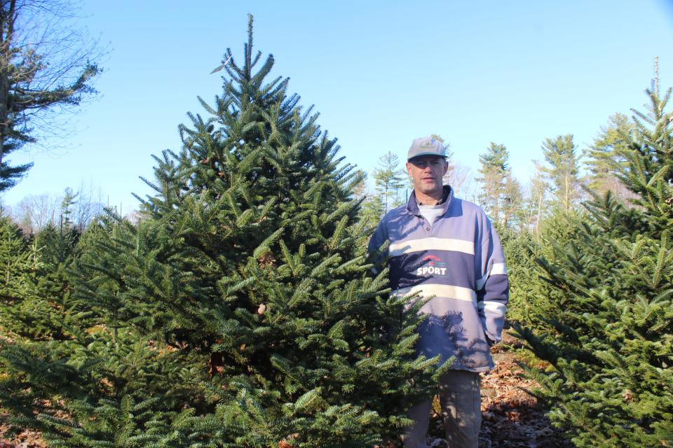 Robert Gauld said the best seller is the Fraser Fir tree which is native to the Appalachian Mountains. "People like the Fraser Fir because it's the sturdiest so you can put ornaments on the branches," he said. Evergreen Tree Farm will open for the season on Black Friday, Nov. 25.