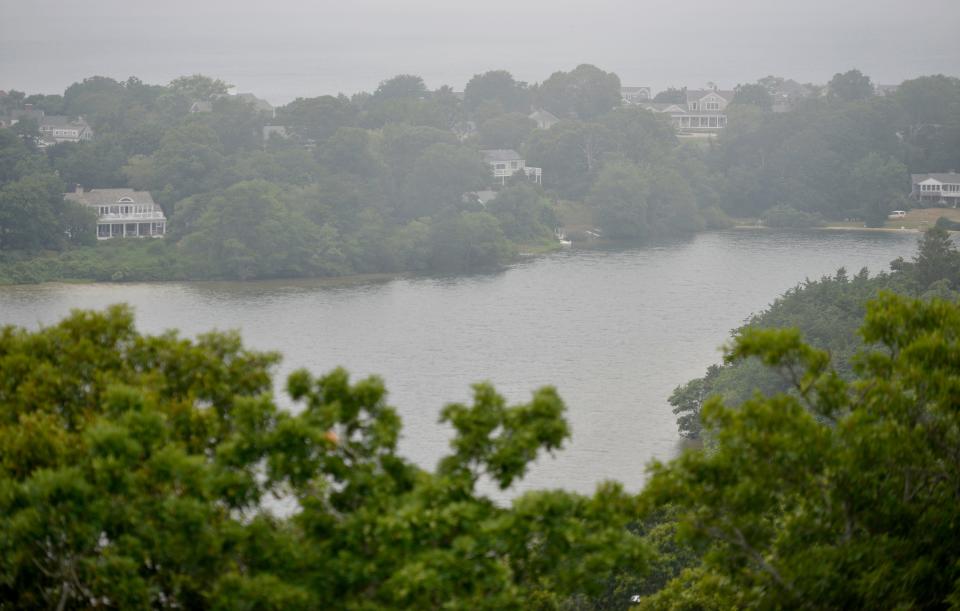 Fog rolls in over Scargo Lake in Dennis on Thursday morning. Water sampling at the lake came back with levels of cyanobacteria, according to the Association to Preserve Cape Cod.