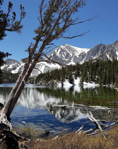 California: Mammoth Mountain