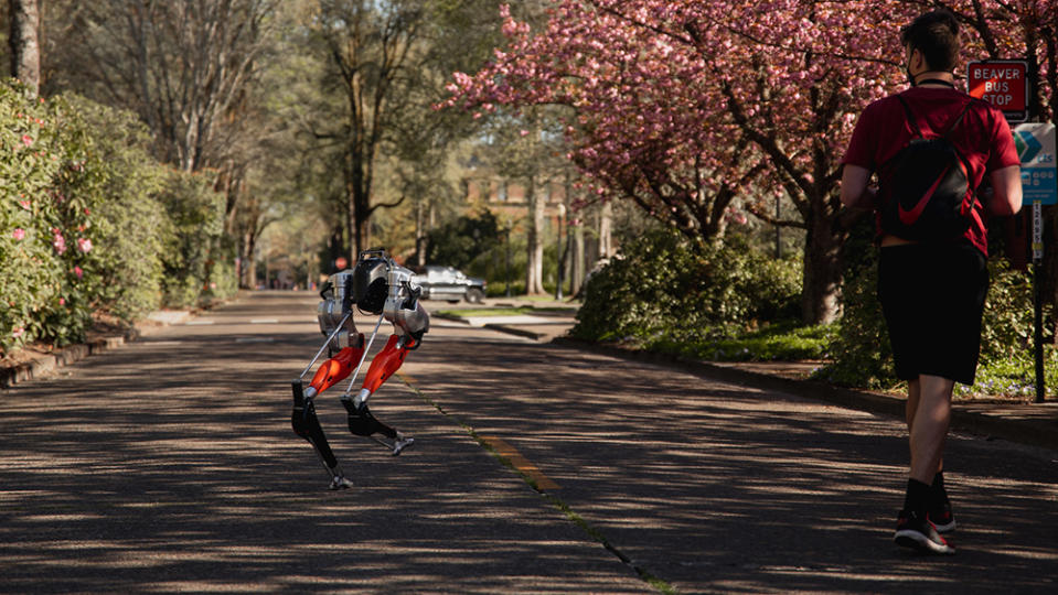 The robot features knees that bend like an ostrich’s. - Credit: Oregon State University