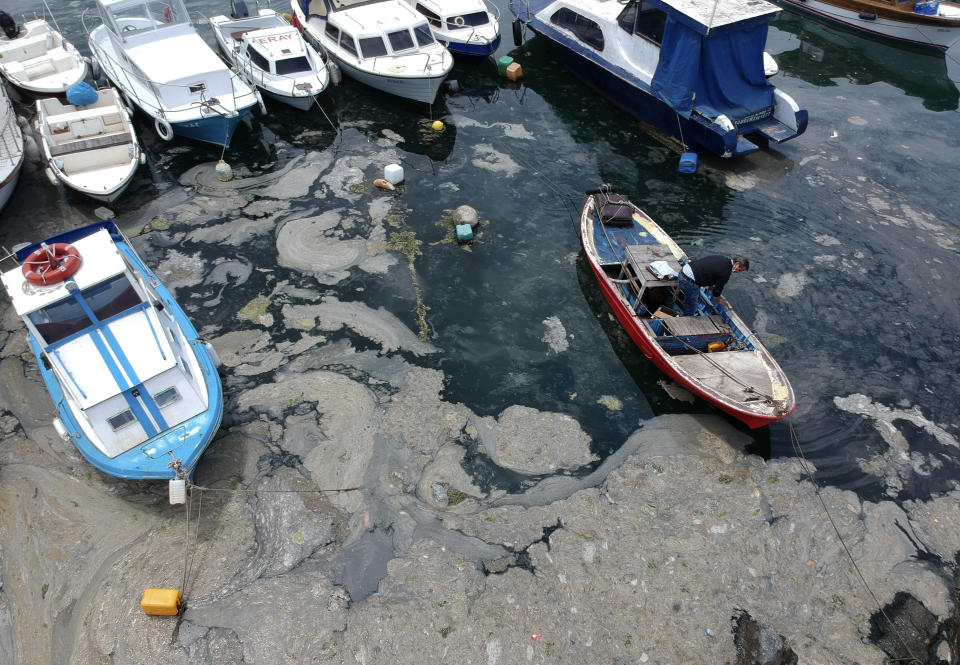 An aerial photo of Pendik port in Asian side of Istanbul, Friday, June 4, 2021, with a huge mass of marine mucilage, a thick, slimy substance made up of compounds released by marine organisms, in Turkey's Marmara Sea. Turkey's President Recep Tayyip Erdogan promised Saturday to rescue the Marmara Sea from an outbreak of "sea snot" that is alarming marine biologists and environmentalists. Erdogan said untreated waste dumped into the Marmara Sea and climate change had caused the sea snot bloom. Istanbul, Turkey's largest city with some 16 million residents, factories and industrial hubs, borders the sea.(AP Photo)