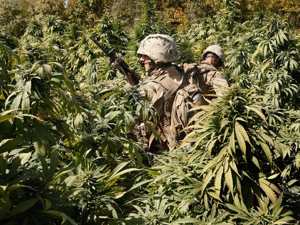 The report's findings testify to the 'carnage' wrought by the 'war on drugs': Scott Olson/Getty