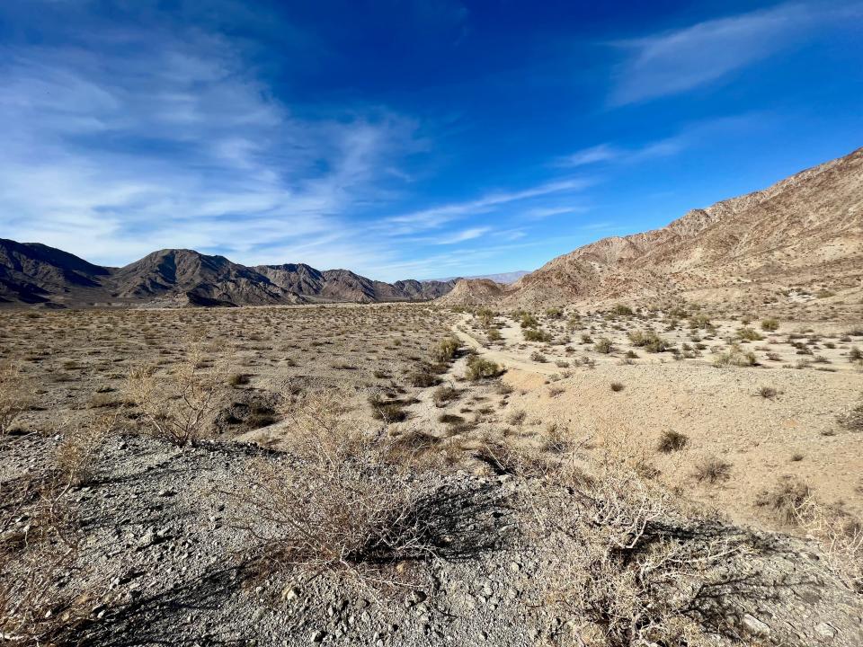 A desert landscape with brush and mountains under a blue sky.