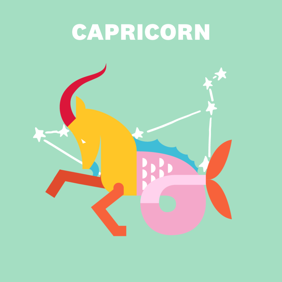 CAPRICORN (DECEMBER 22–JANUARY 19)