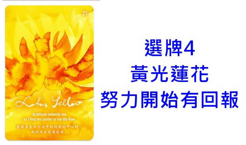 本次牌卡使用《AKASHA Sacred Healing Cards阿卡莎脈輪花精療癒卡》Sun Ya Fischer富桑雅 著。