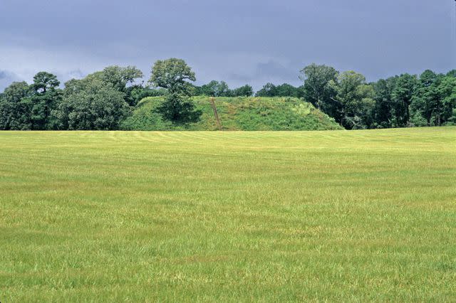 <p>courtesy of Georgia State Parks & Historic Sites</p>