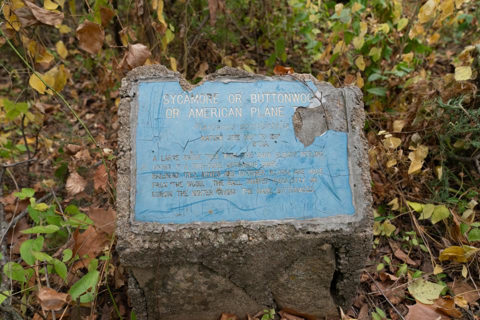 Old signage on a concrete block show visitors to Dornwood Nature Trails, where a sycamore tree, dating back to the 1880s is located. Most of these signs were vandalized and nameplates ripped off.