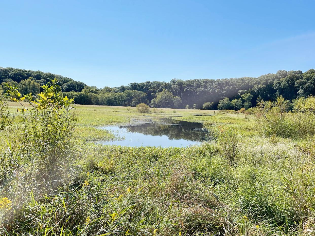 The wetlands at the Sycamore Land Trust property near Dolan shows the surrounding fields and woods.