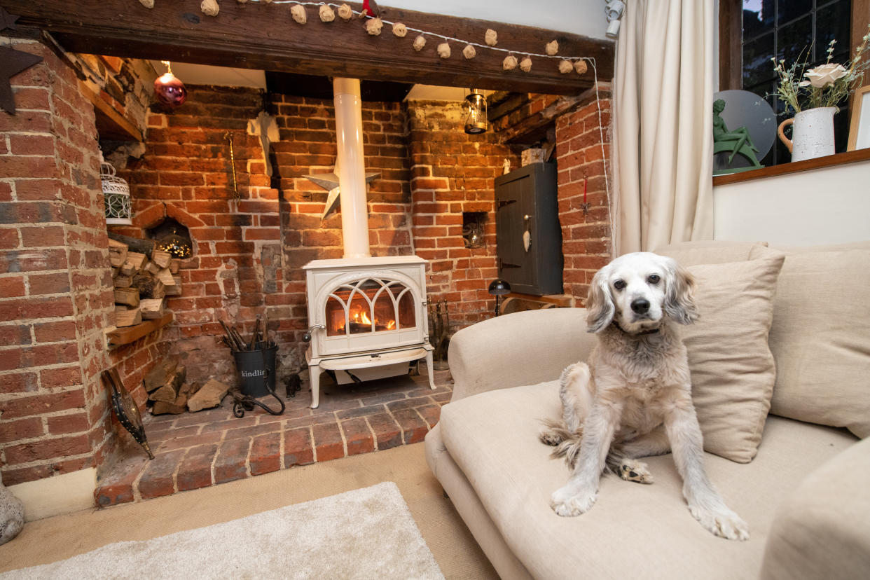 Dog jay inside Honeysuckle cottage. (SWNS)