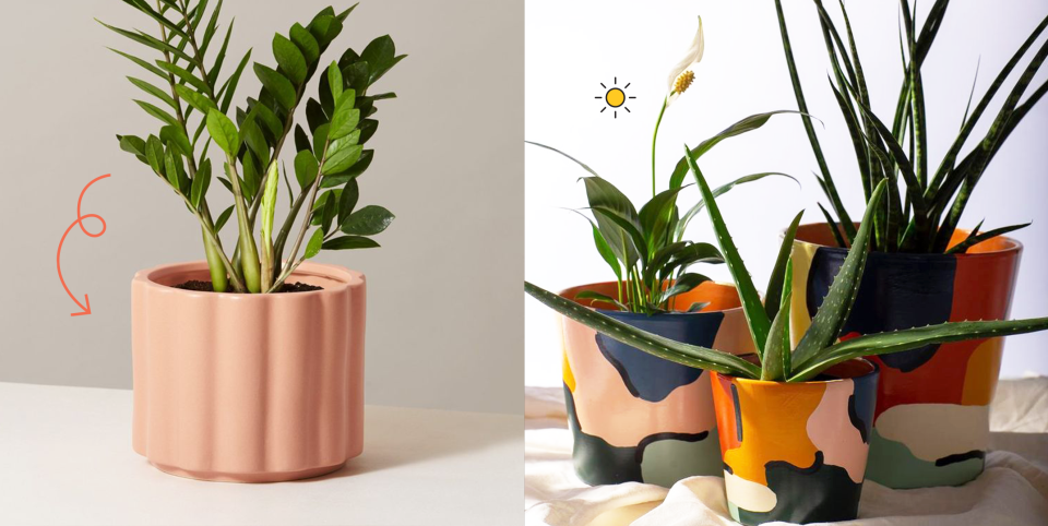 The Best Plants for Your Bathroom That Will Totally Boost Your Mood