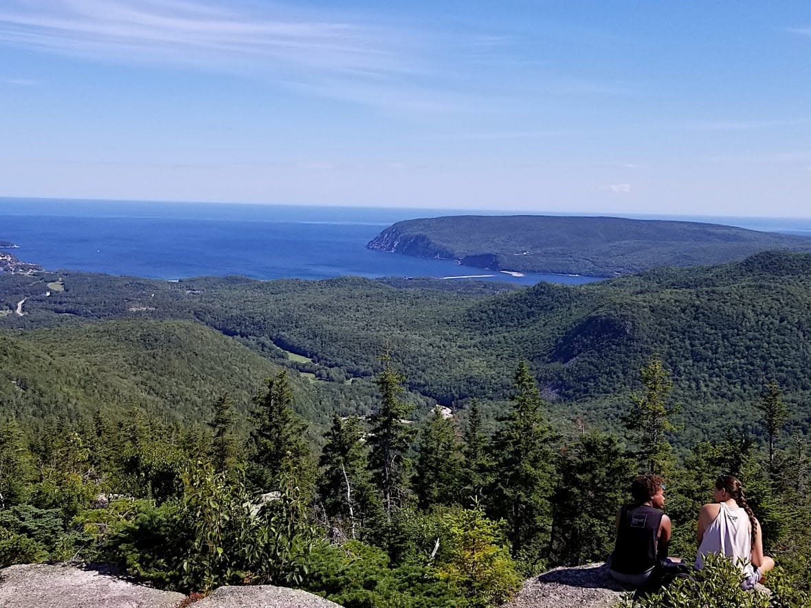 The view from the top of Franey Trail in the Cape Breton Highlands National Park, a popular stop on the Cabot Trail. (Brittany Wentzell/CBC - image credit)