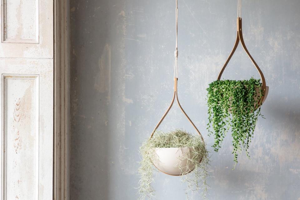 Morvah hanging planters by Tom Raffield