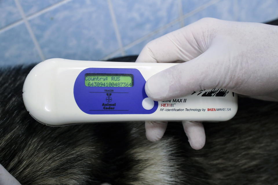 A pet microchip scanner identifying an animal’s unique code. (PHOTO: TASS via Getty Images)