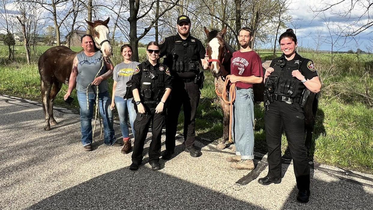 <div>Runaway horses found in Somers (Courtesy: KCSD | Facebook)</div>