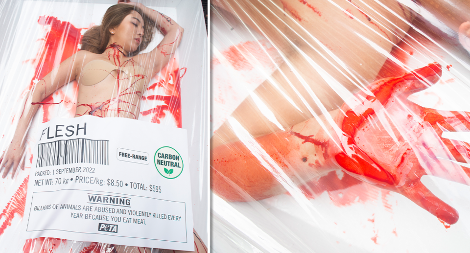 Fake blood used in the protest was hyperrealistic. Source: Chrissie Hall