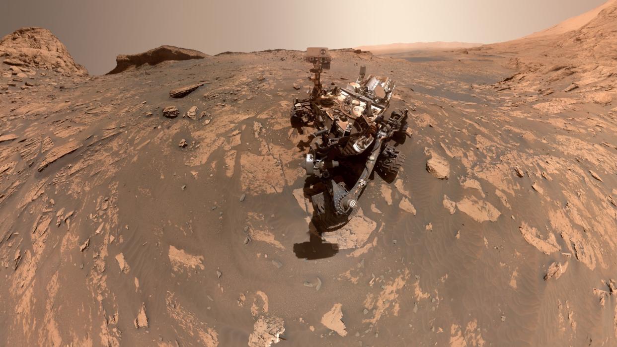  Perseverance, seen here in a selfie shot by its robotic arm, might not be able to detect biomarkers on the Martian surface.  