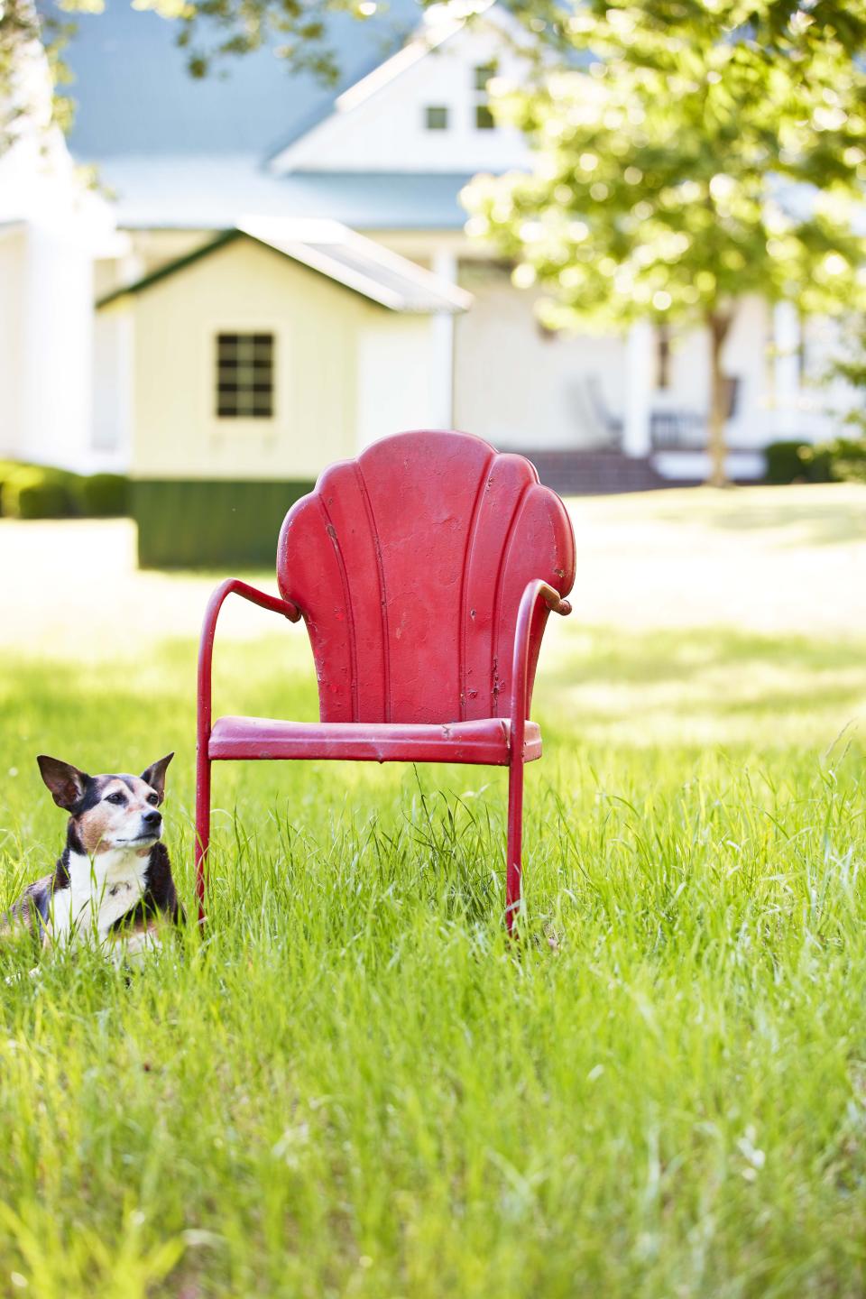 13 Best Lawn Chairs With Retro Charm