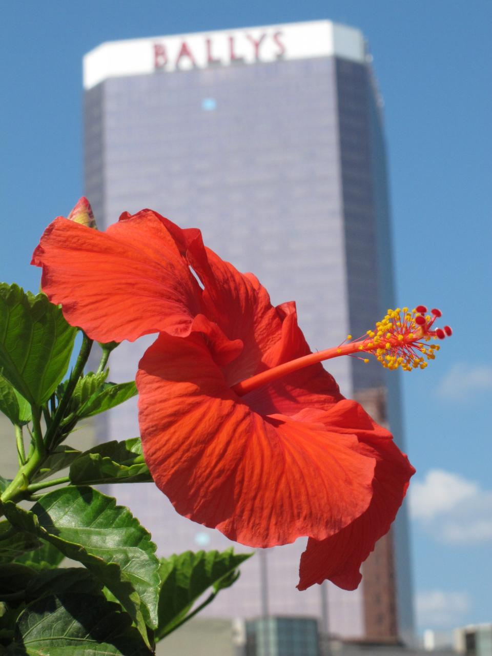 In this Sept. 13, 2011 photo, the Bally's Atlantic City casino is seen in Atlantic City, N.J. The casino had a 5 percent revenue decline in September, according to the New Jersey Division of Gaming Enforcement. All of the Atlantic City casinos collectively experienced a monthly decline of less than 1 percent in September compared with a year ago. (AP Photo/Wayne Parry)