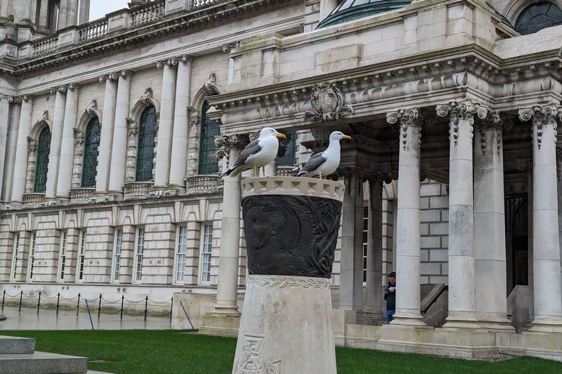 Seagulls at Belfast City Hall, seen here on top of a monument at front of building