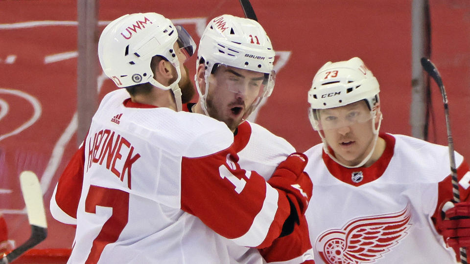 The Red Wings still have a long road in front of them to return to playoff contention. (Photo by Bruce Bennett/Getty Images)