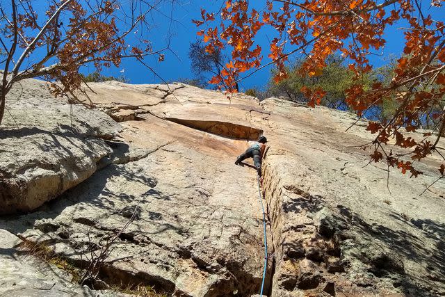 <p>Elliot Stahl/Courtesy of Tennessee Department of Tourist Development</p> Rock climbing in Chattanooga, TN