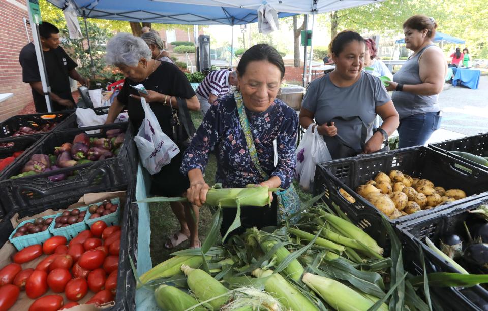 Carmen Loja buys corn at the J&D Farm tent at the Finkelstein Library farm stand in Spring Valley Sept. 5, 2023.