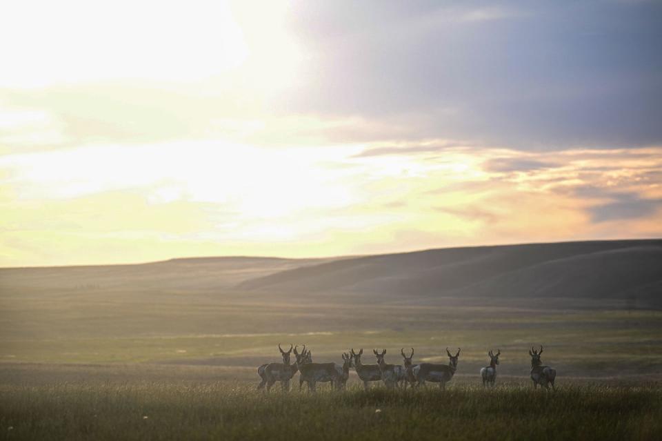 Saratoga, Wyoming