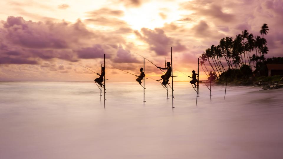 Traditional stilt fishermen try their luck at sunset. Koggala, Sri Lanka.