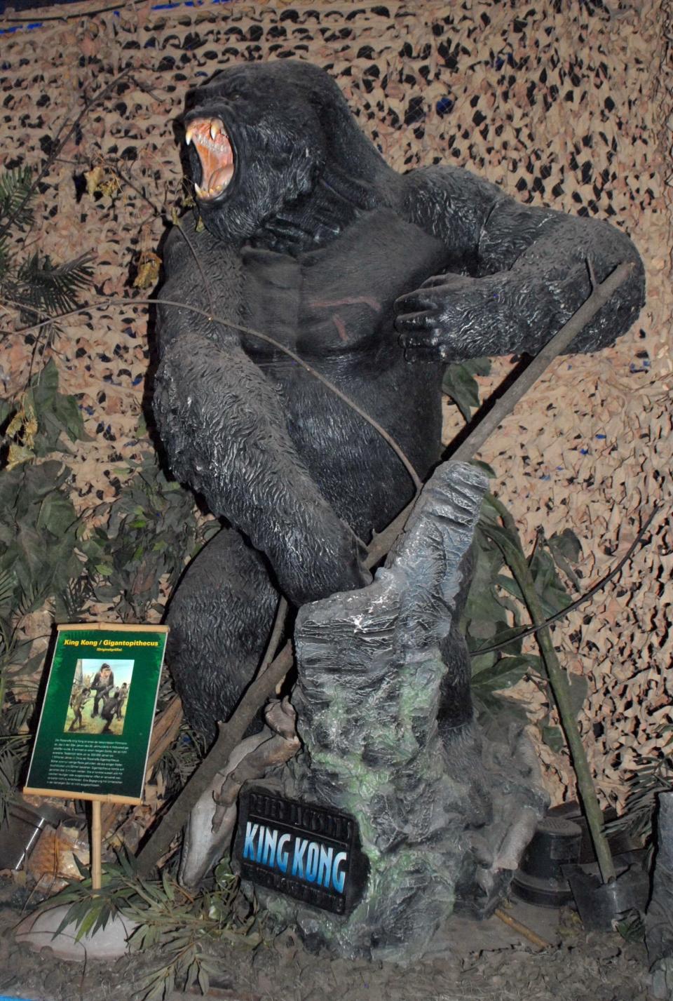 King Kong / Gigantopithecus, Dinosaurier-Austellung, "Die Welt der Dinos" (" World of Dinosaurs") - "Im Reich der Giganten", Messe Centrum Bremen, Deutschland, Europa, Ausstellung, ausgestorbenes Tier (Modell), Reise, AS, DIG; P.-Nr.: 585/2011, 20.05.2011;  (Photo by Peter Bischoff/Getty Images)