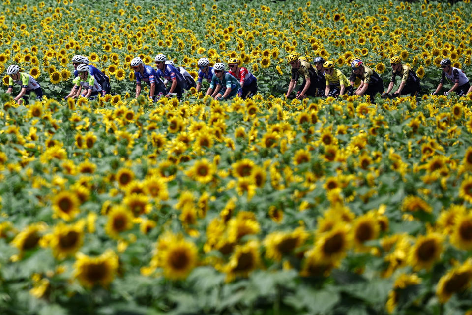 Tour de France 2023 peloton stage 8