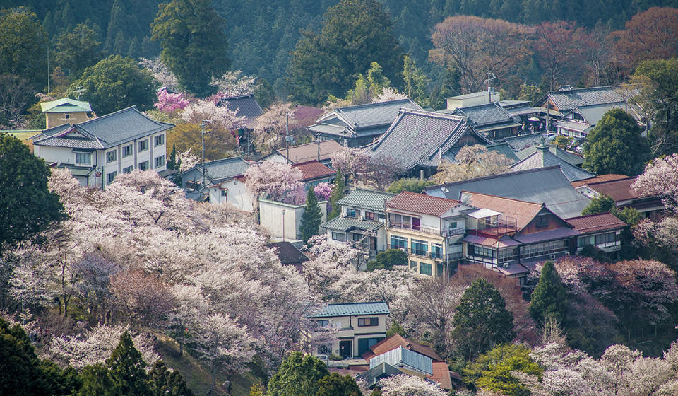 Mount Yoshino japan