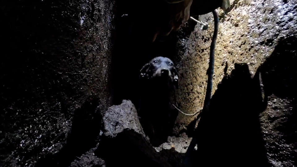 Misty trapped in the volcanic fissure, waiting for Kawika to rescue her.