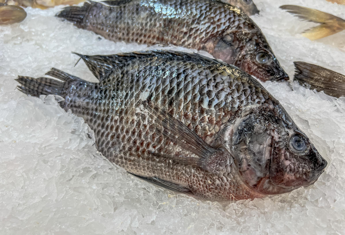 California woman has all four limbs amputated after eating bad tilapia