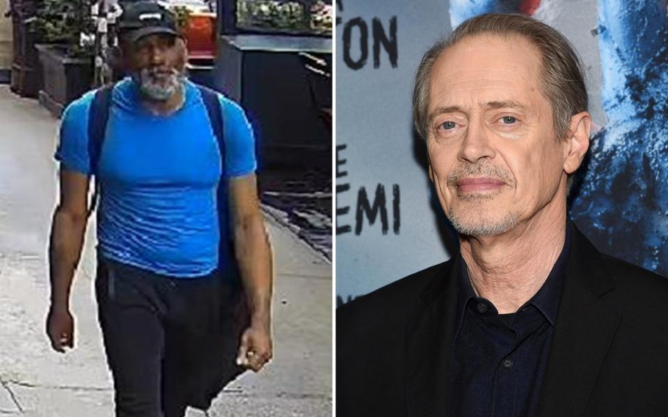 Actor Steve Buscemi was punched in the face by a man on a New York City street (ES Composite)