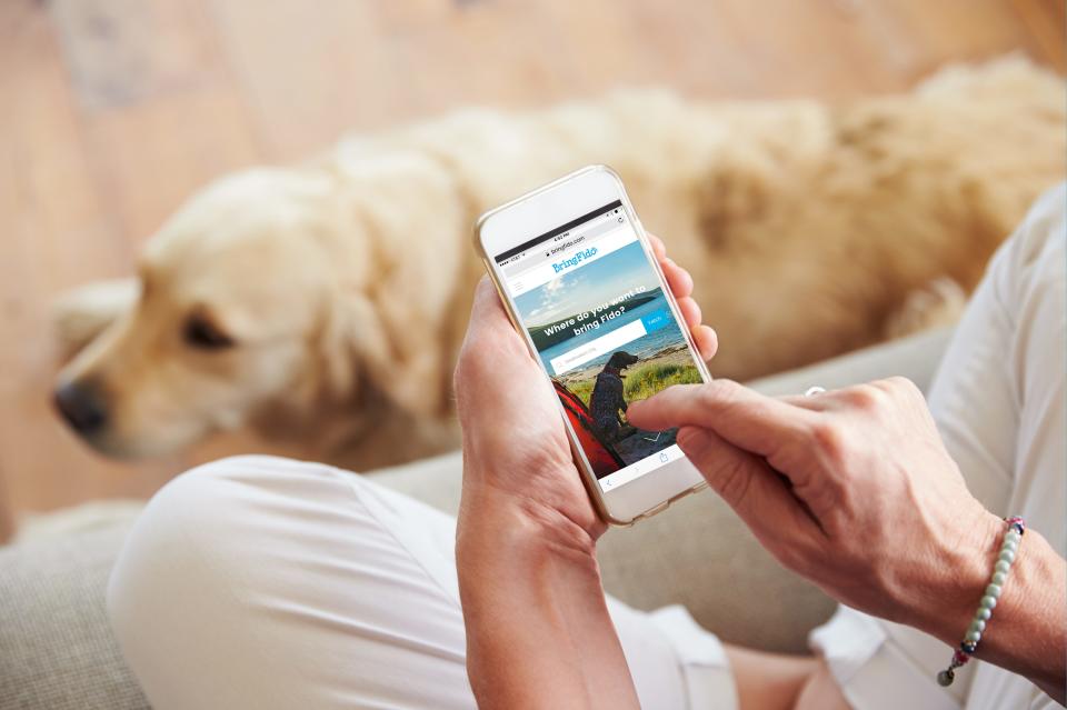 BringFido is a website and app that assists dog owners with finding dog-friendly accomodations.