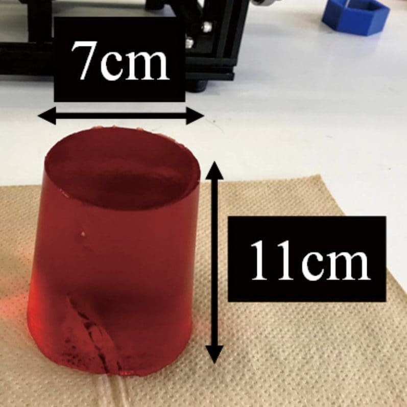 The jellyfish sample used to test the machine's effectiveness