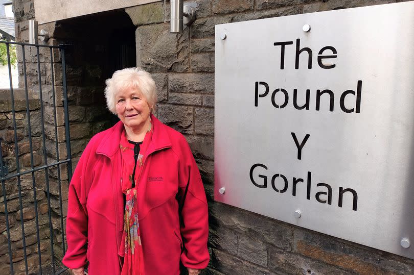 Yvonne Apsitis standing next to The Pound, where Llandaff 50+ meet every week