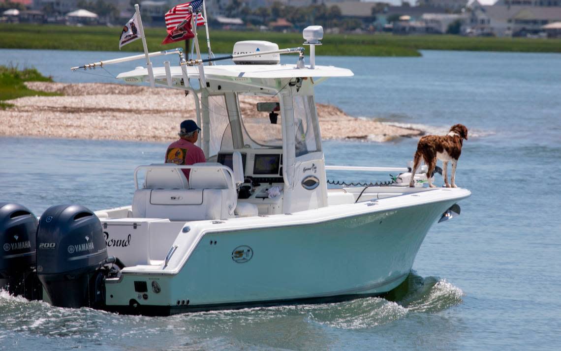 A boater and his dogs heads out into Murrells Inlet. In the summer heat of July, Myrtle Beach area residents and tourist look to the water for relief. With waterparks, jet ski rentals, parasails, banana boat rides, paddle boards and kayaks, there are plenty of options to beat the heat. July 5, 2022.
