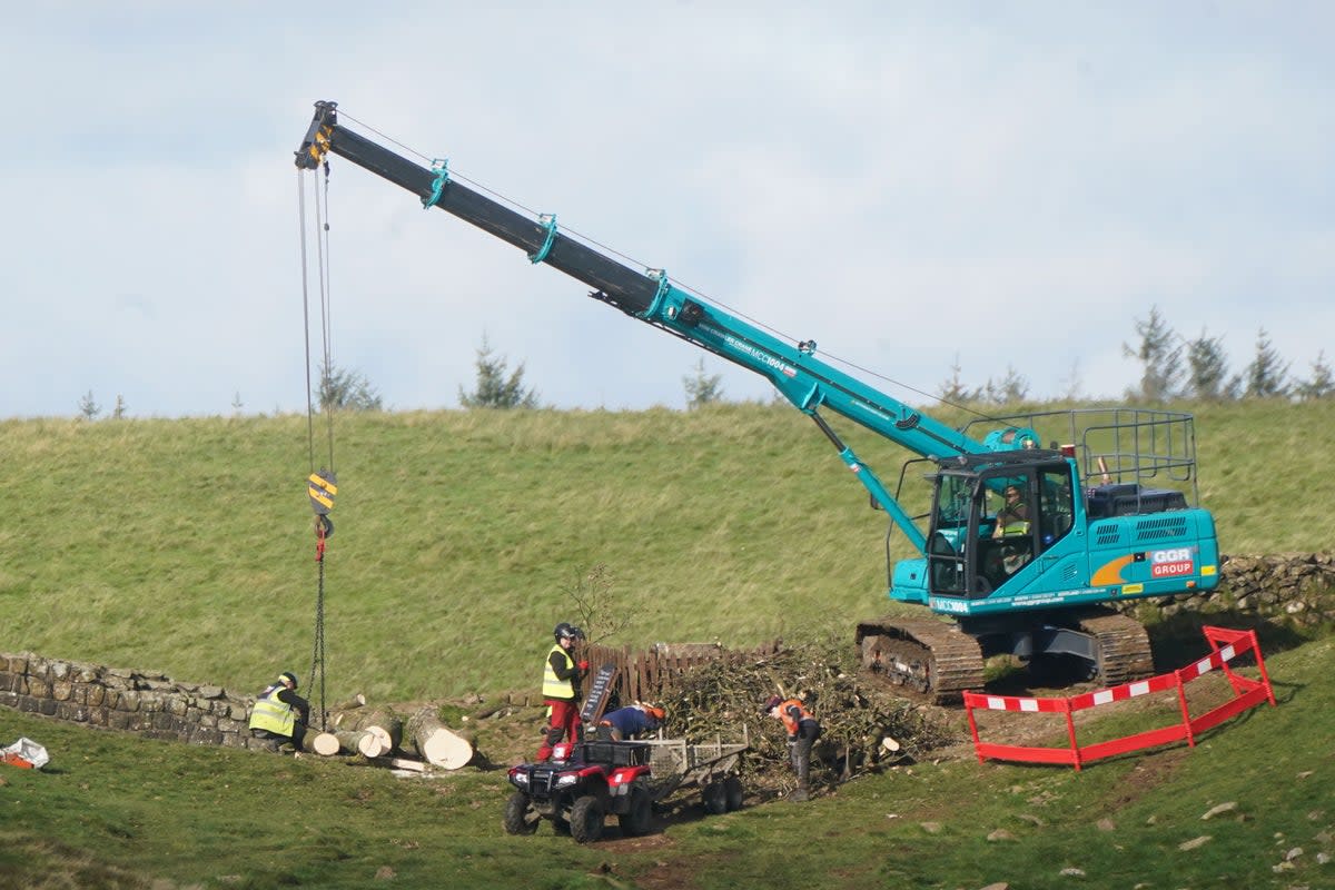 Workers removing the remains of the Sycamore Gap tree (PA Wire)